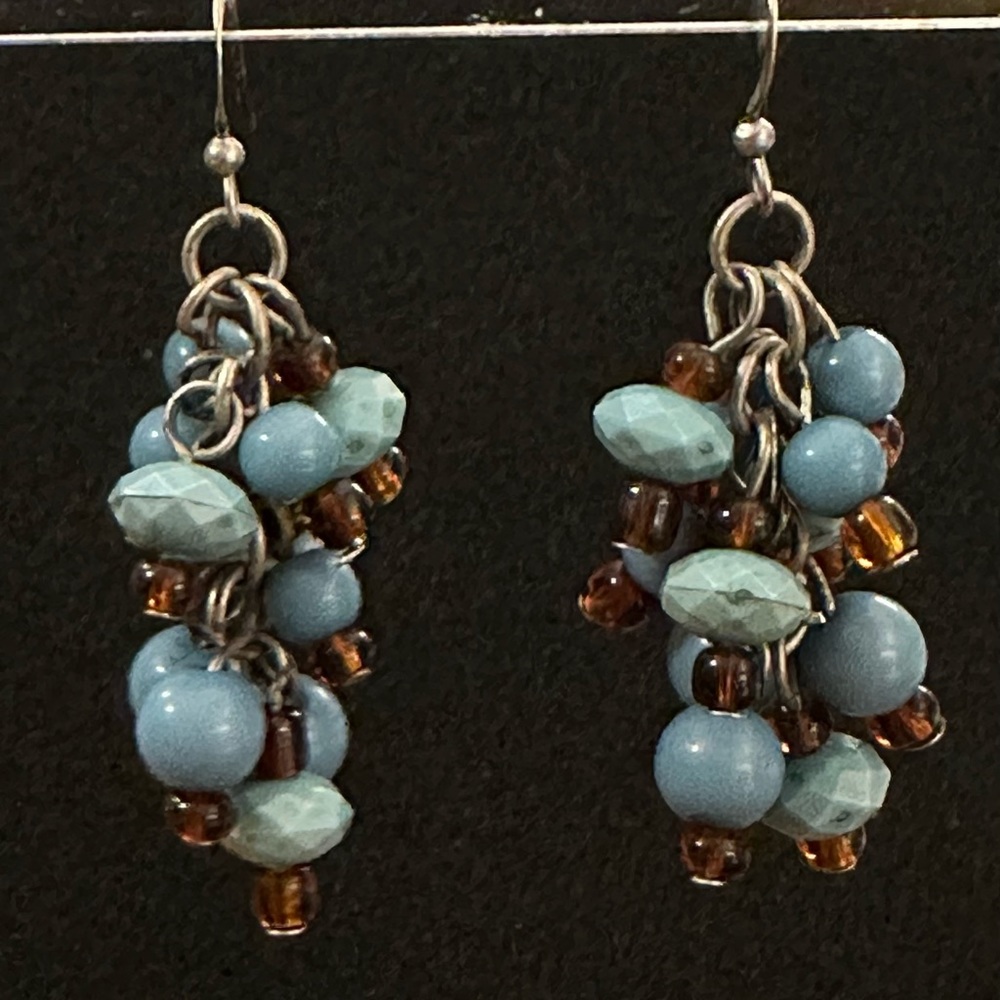 Blue and Brown Beaded Earrings